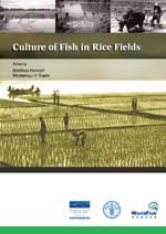 Culture of fish in rice fields