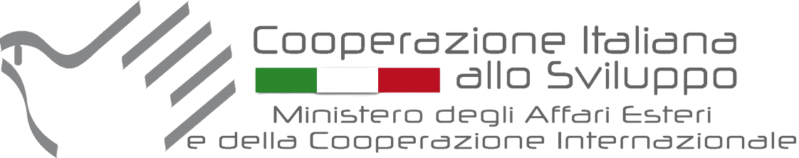 Agenzia italiana cooperazione sviluppo logo