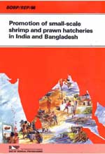  Promotion of Small-scale Shrimp and Prawn Hatcheries in India and Bangladesh