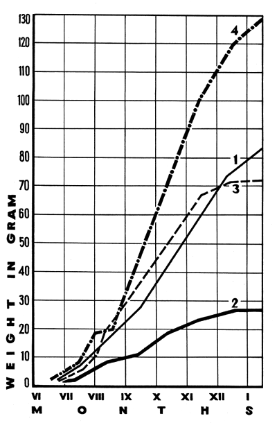 Fig.1