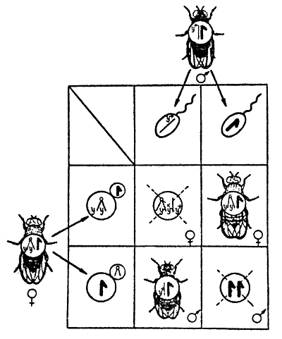 Fig.3