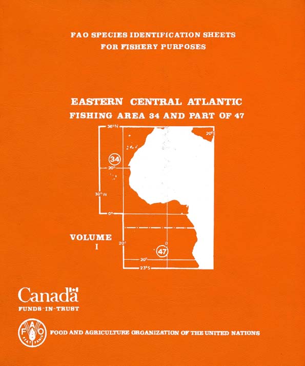 Eastern Central Atlantic; fishing areas 34, 47 (in part)