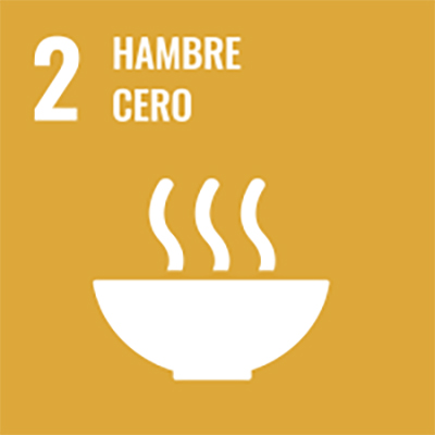 sdg2 icon