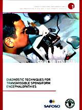 Diagnostic techniques for transmissible spongiform encephalopathies