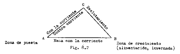 Fig. 8.2