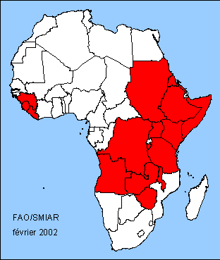 Afrique