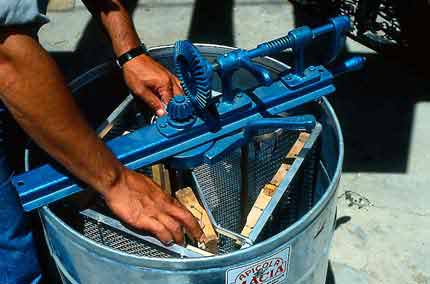 A 4-frame (8-shallow) tangential extractor modified for radial 4-frame and broken comb extraction. 