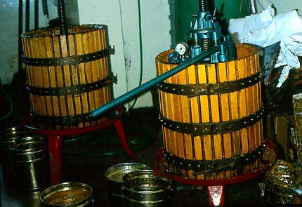 modified for broken comb extraction with solid bottom plate and a finer mesh screen (5-mesh) at the bottom 15-20 cm. e) A large honey press/extractor for separating honey from comb uncappings used in Italy.