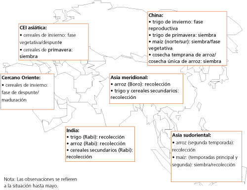 Perspectivas de Cosechas y Situacin Alimentaria