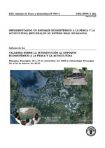Informe de los Talleres sobre la introducción al enfoque ecosistémico a la pesca y la acuicultura. Managua, Nicaragua, 26 y 27 de noviembre del 2009 y Chinandega, Nicaragua 24 al 26 de febrero del 2010.