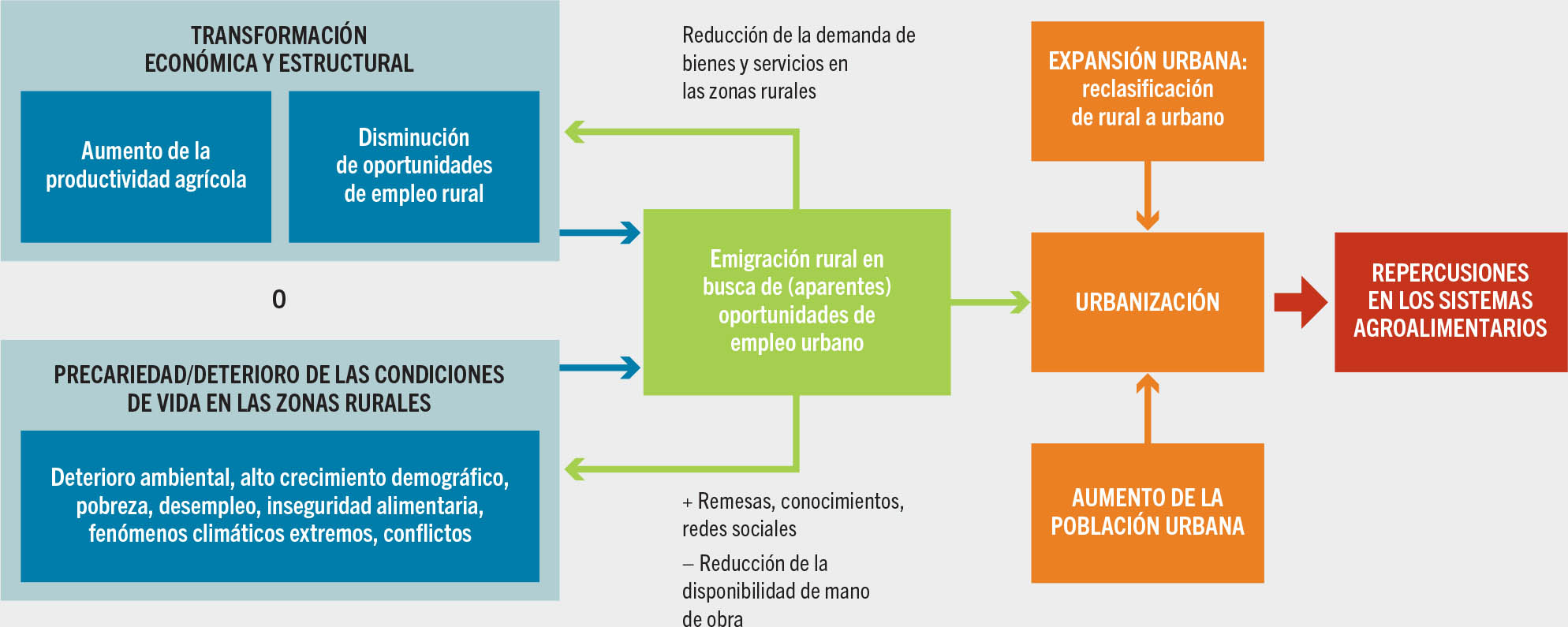 FUENTE: De Bruin, S. y Holleman, C. 2023. Urbanization is transforming agrifood systems across the rural–urban continuum creating challenges and opportunities to access affordable healthy diets. Documento de trabajo para El estado de la seguridad alimentaria y la nutrición en el mundo 2023. Economía del desarrollo agrícola de la FAO . Estudio técnico N.o 23-08. Roma, FAO.