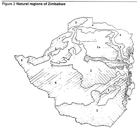 w7560e02.jpg (53736 byte)