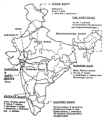 w7560e08.jpg (64141 byte)