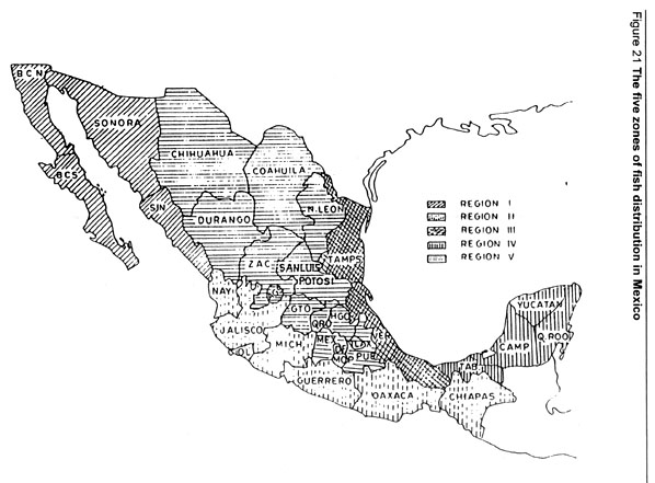 w7560e14.jpg (59385 byte)