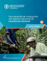 Herramienta de evaluación del sistema nacional de monitoreo forestal: Guía rápida