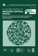 Change to Volume 6: Bony fishes part 4 (Labridae to Latimeriidae), estuarine crocodiles, sea turtles, sea snakes and marine mammals