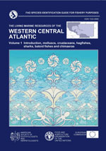 The living marine resources of the Western Central Atlantic. Volume 1: Introduction, molluscs, crustaceans, hagfishes, sharks, batoid fishes, and chimaeras