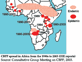 CBPP spread in Africa from the 1990s to 2003 (OIE reports)