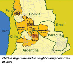 FMD in Argentina and in neighbouring countries in 2003