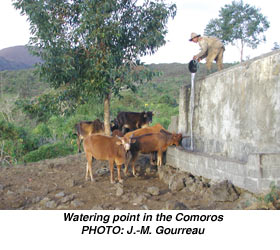 Watering point in the Comoros-PHOTO: J.-M. Gourreau