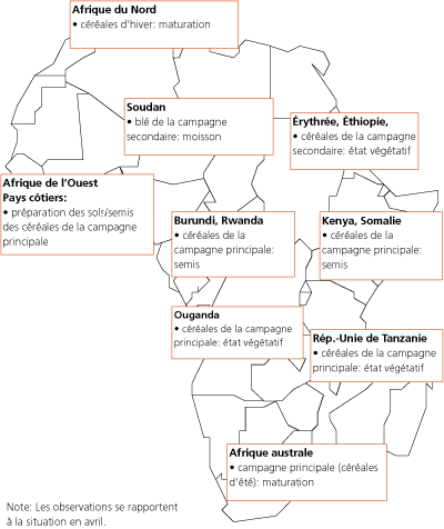 Perspectives de rcoltes et situation alimentaire 