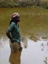 Mrs Awa a small-scale commercial farmer in Yemssoa, Cameroon