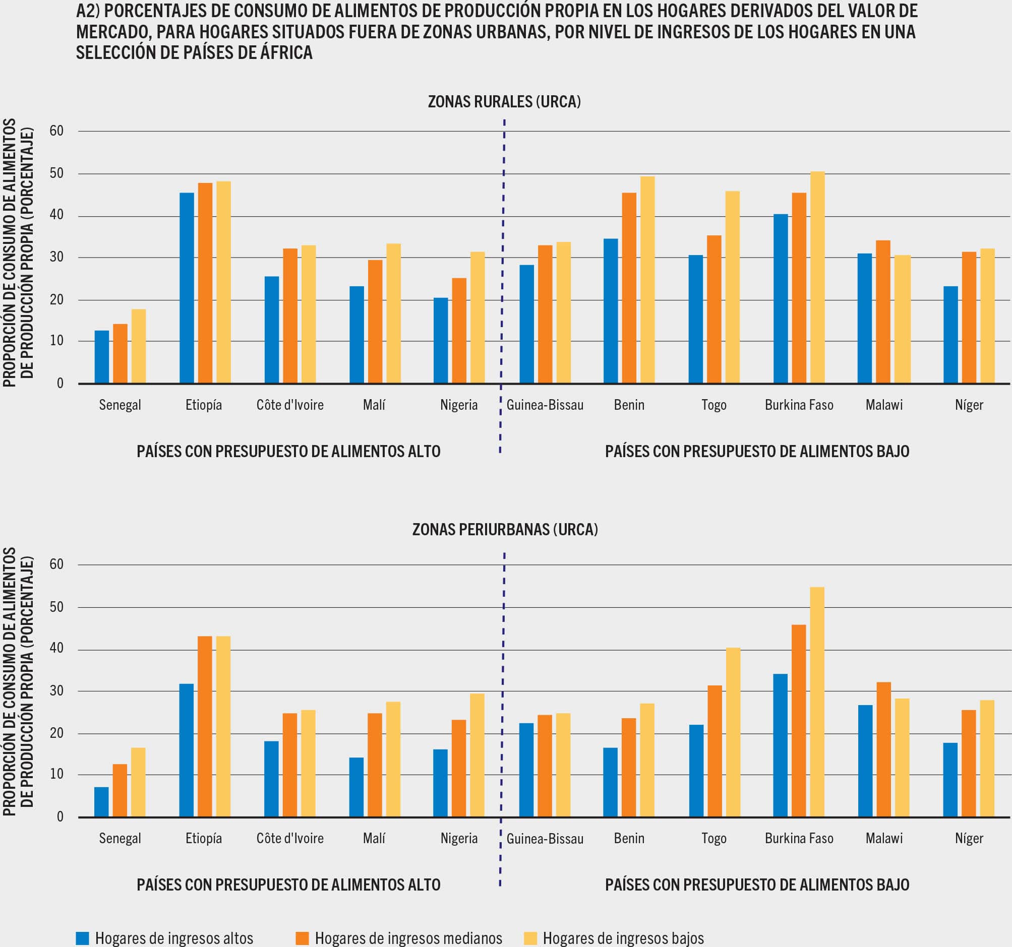 FUENTE: Dolislager, M.J., Holleman, C., Liverpool-Tasie, L.S.O. y Reardon, T. 2023. Analysis of food demand and supply across the rural–urban continuum in selected countries in Africa. Documento de trabajo para El estado de la seguridad alimentaria y la nutrición en el mundo 2023. Economía del desarrollo agrícola de la FAO. Estudio técnico N.o 23-09. Roma, FAO.