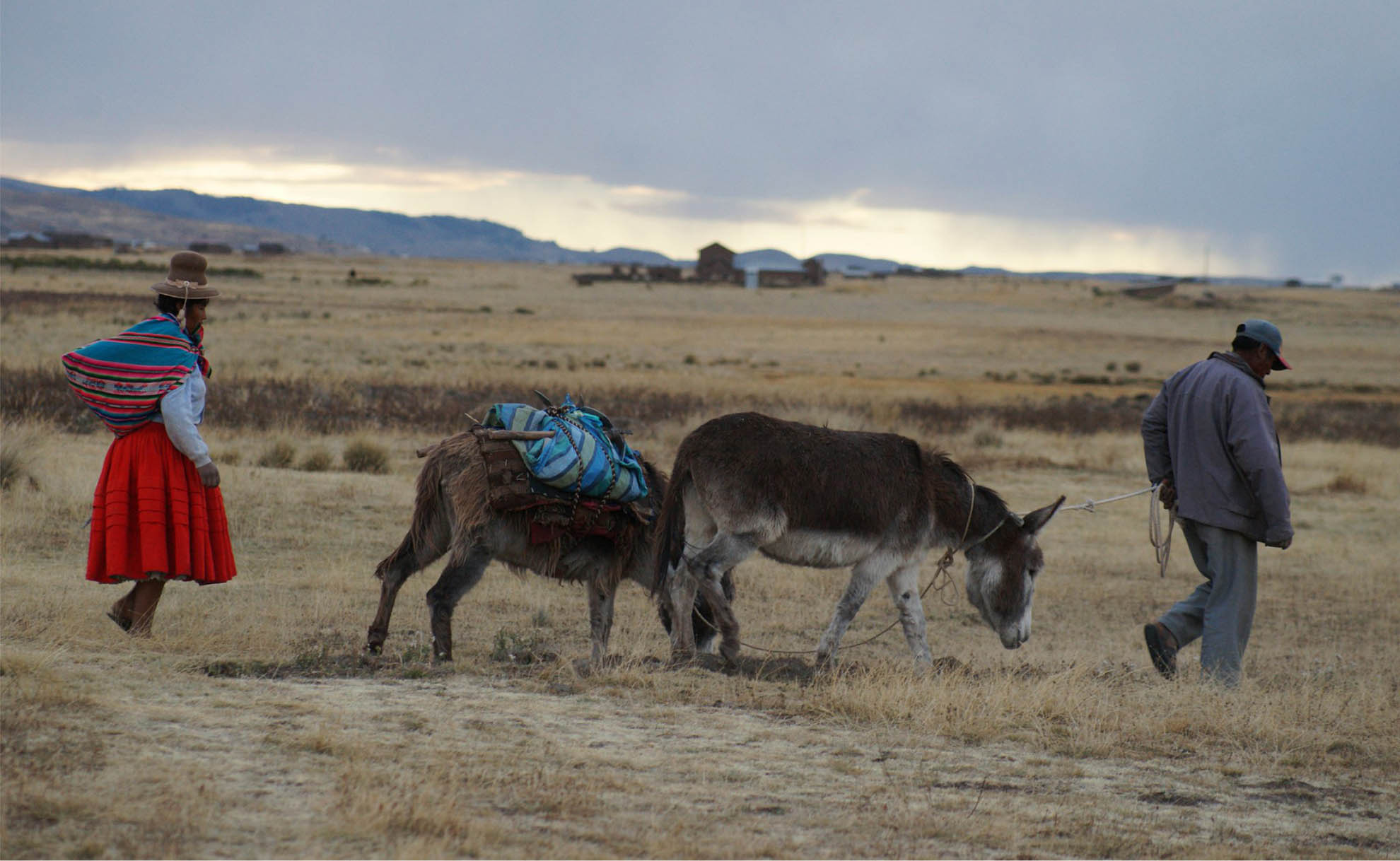 PERU Andean people have domesticated a suite of crops and animals ©FAO/LIANA JOHN