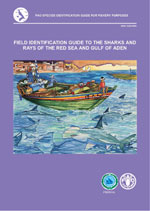 Field identification guide to the sharks and rays of the Red Sea and Gulf of Aden