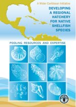 Developing a regional hatchery for native shellfish species (brochure) 