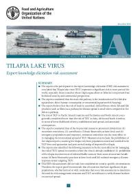 Tilapia lake virus disease strategy manual