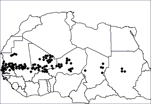 perspectives alimentaires