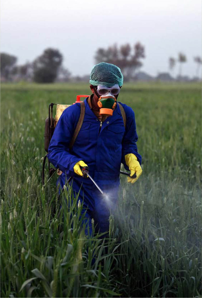 ©粮农组织/Aamir Qureshi