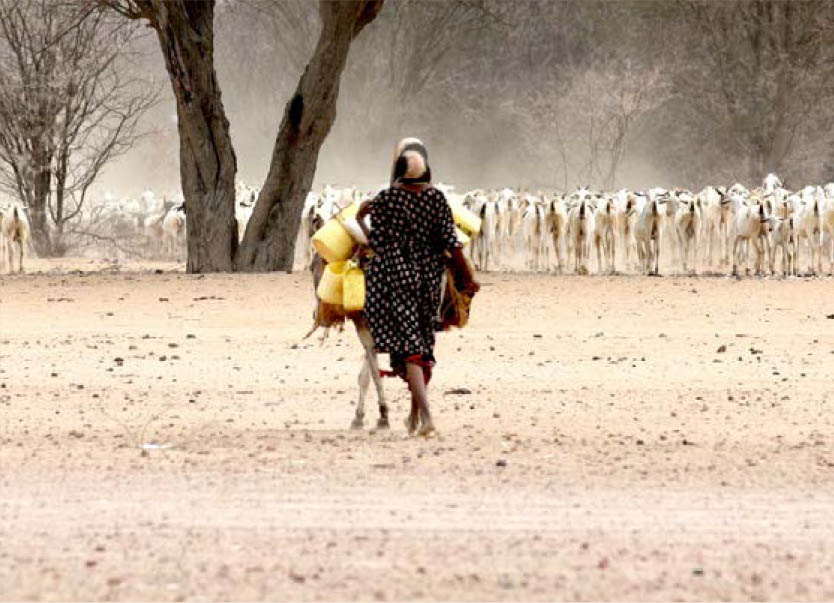 ©粮农组织/Frank Nyakairu