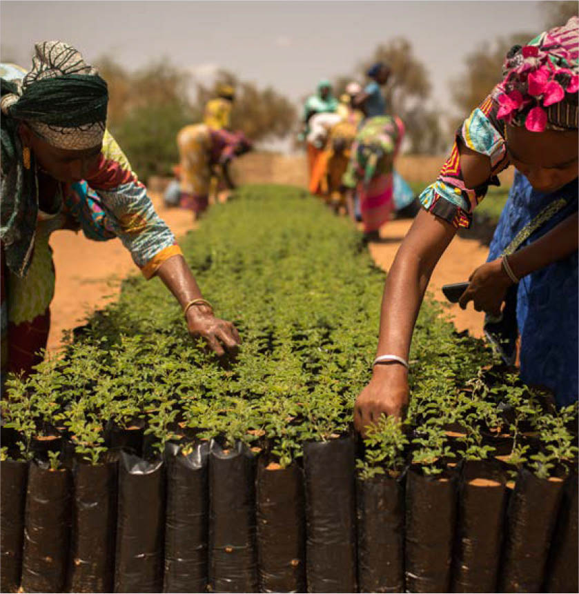 ©粮农组织/Benedicte Kurzen/NOOR