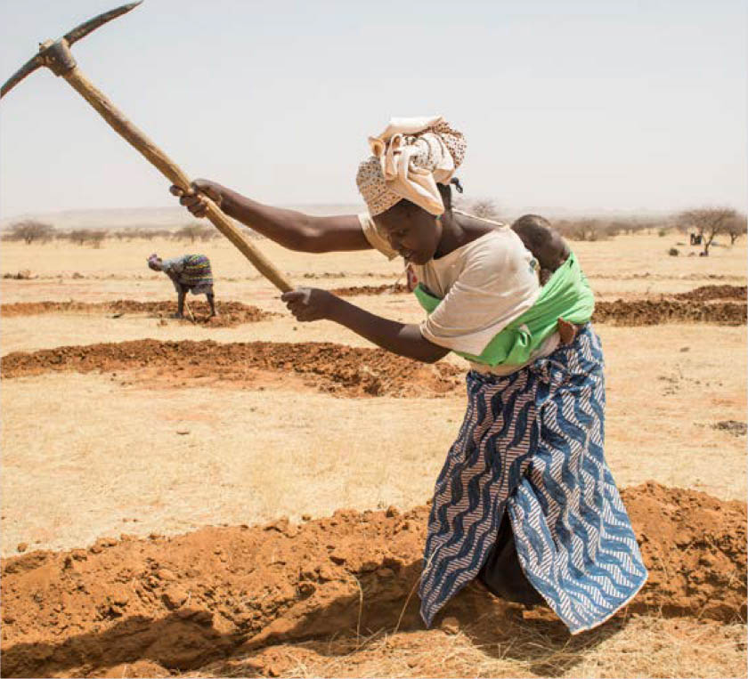 ©粮农组织/Olivier Asselin