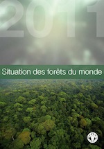 Situation des forts du monde 2011