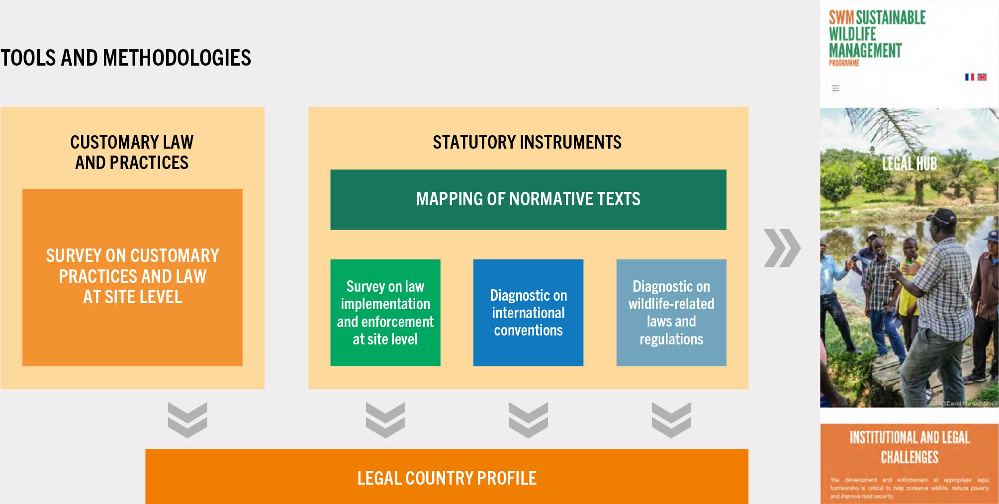 A diagram shows the tools and methodologies that feed into a legal country profile, divided into two categories: the first being customary law and practices, and the second being statutory instruments. The first category includes surveys on customary practices and law at site level. The second consists of the mapping of normative texts, including surveys on law implementation and enforcement at the site level; diagnostics on international conventions; and diagnostics on wildlife-related laws and regulations. A pamphlet alongside the diagram is titled Sustainable Wildlife Management: Institutional and legal challenges.