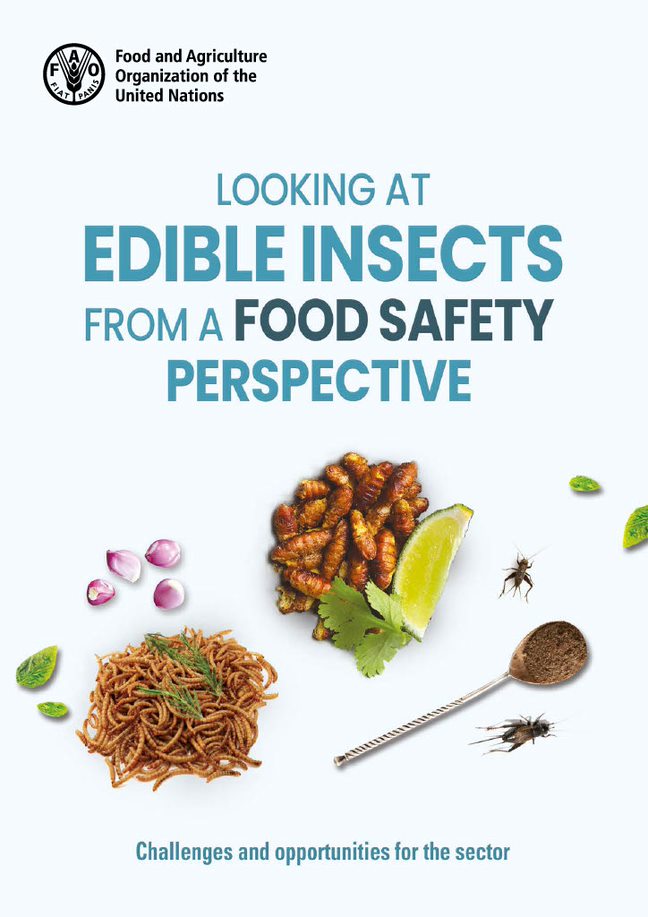 edible insects cover image