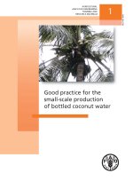 Good practice for the small-scale production of bottled coconut water