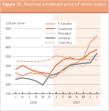 Crop Prospects and Food Situation