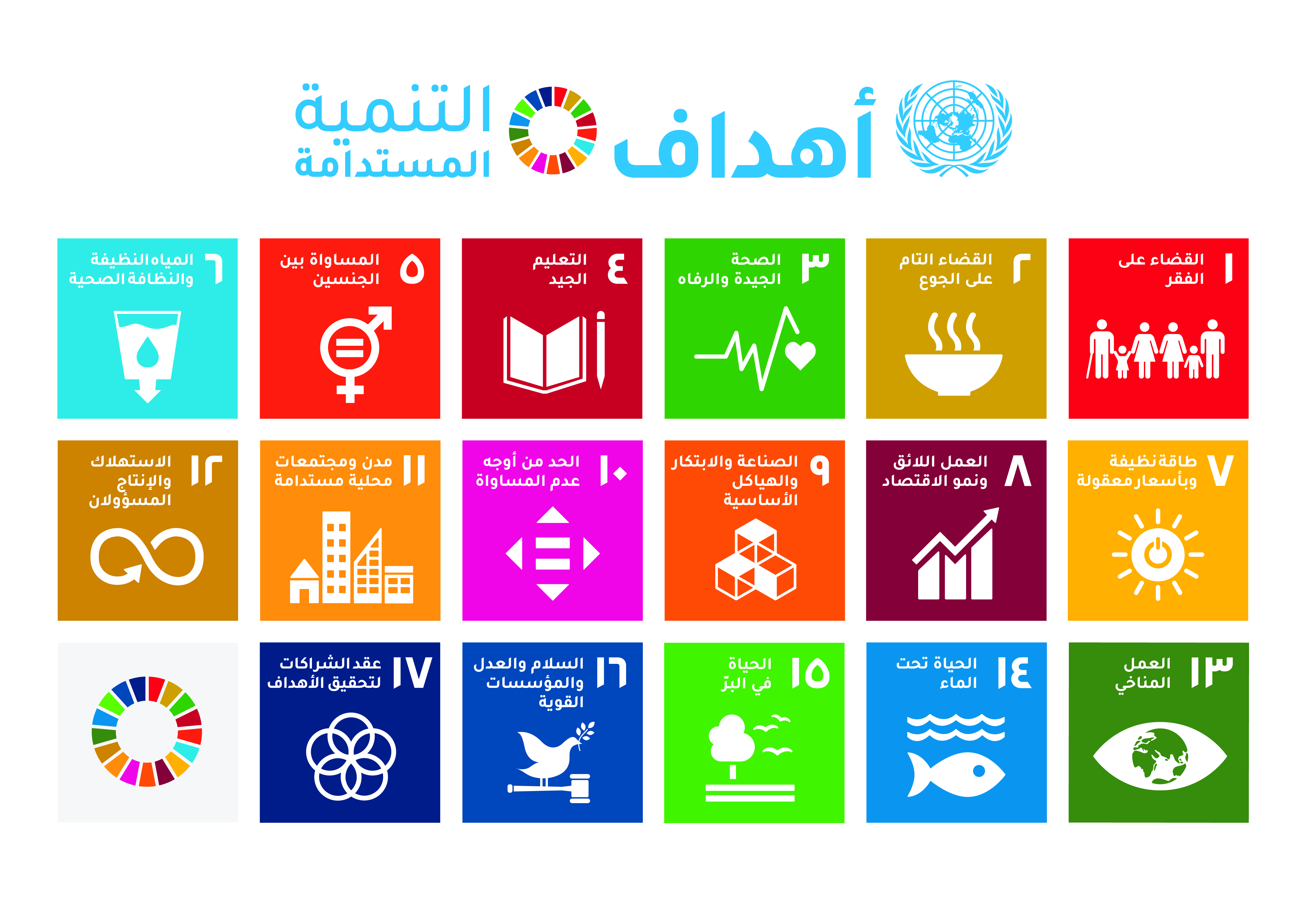 SDG wheel