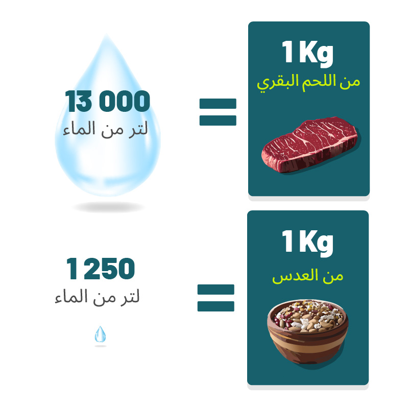 Beef Pulse Water Infographic