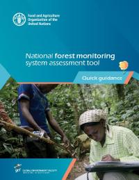 National forest monitoring system assessment tool: Quick guidance