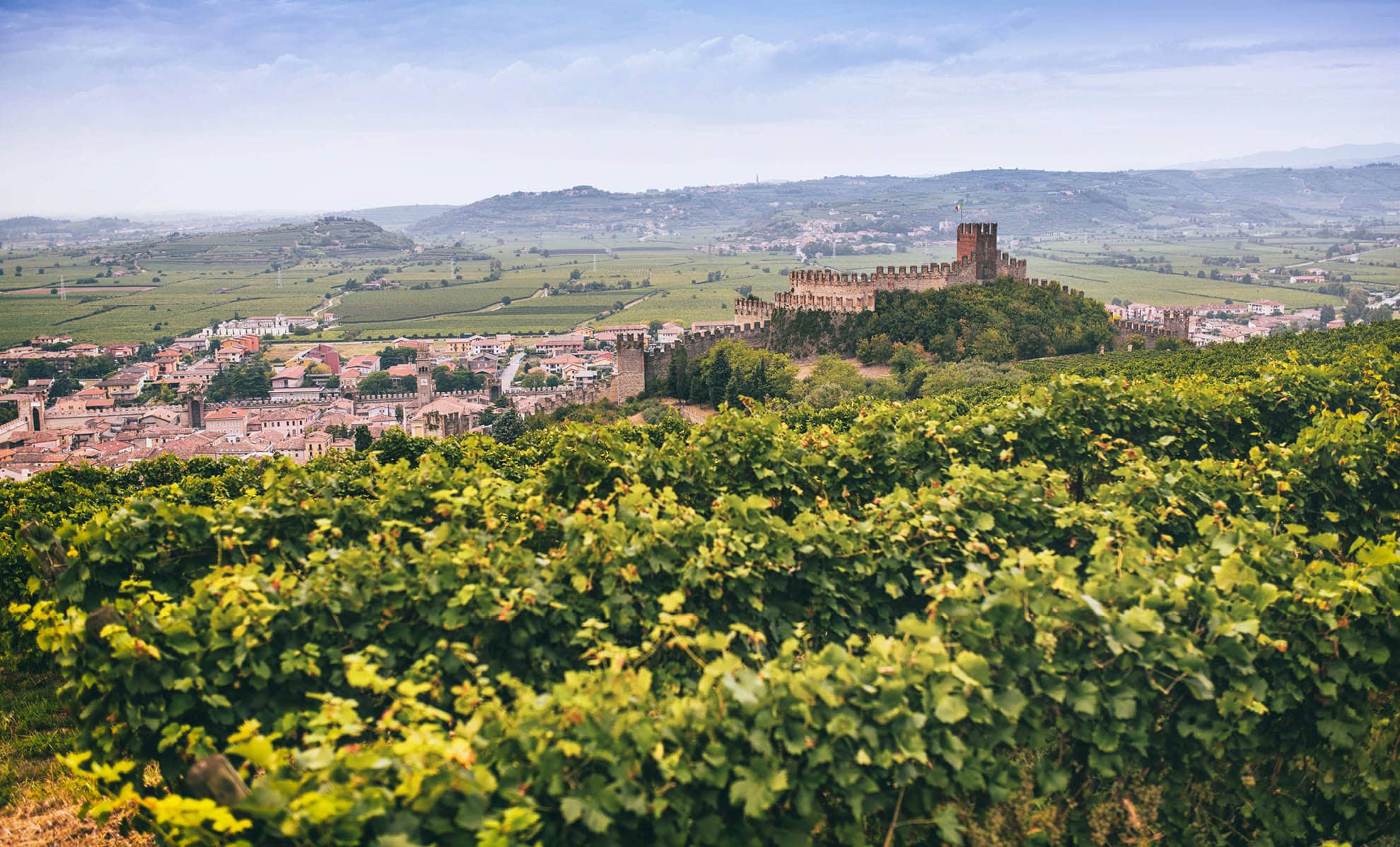 ITALY Soave Traditional Vineyards ©FAO/CONSORZIO TUTELA VINI SOAVE E RECIOTO DI SOAVE