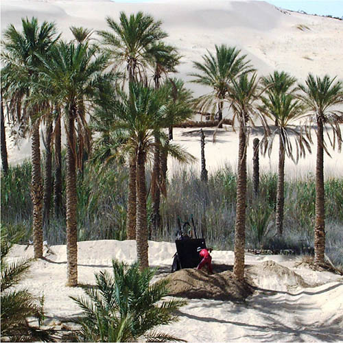 ALGERIA The palm dates from the ghout are recognized for their high-quality flavour and long conservation properties