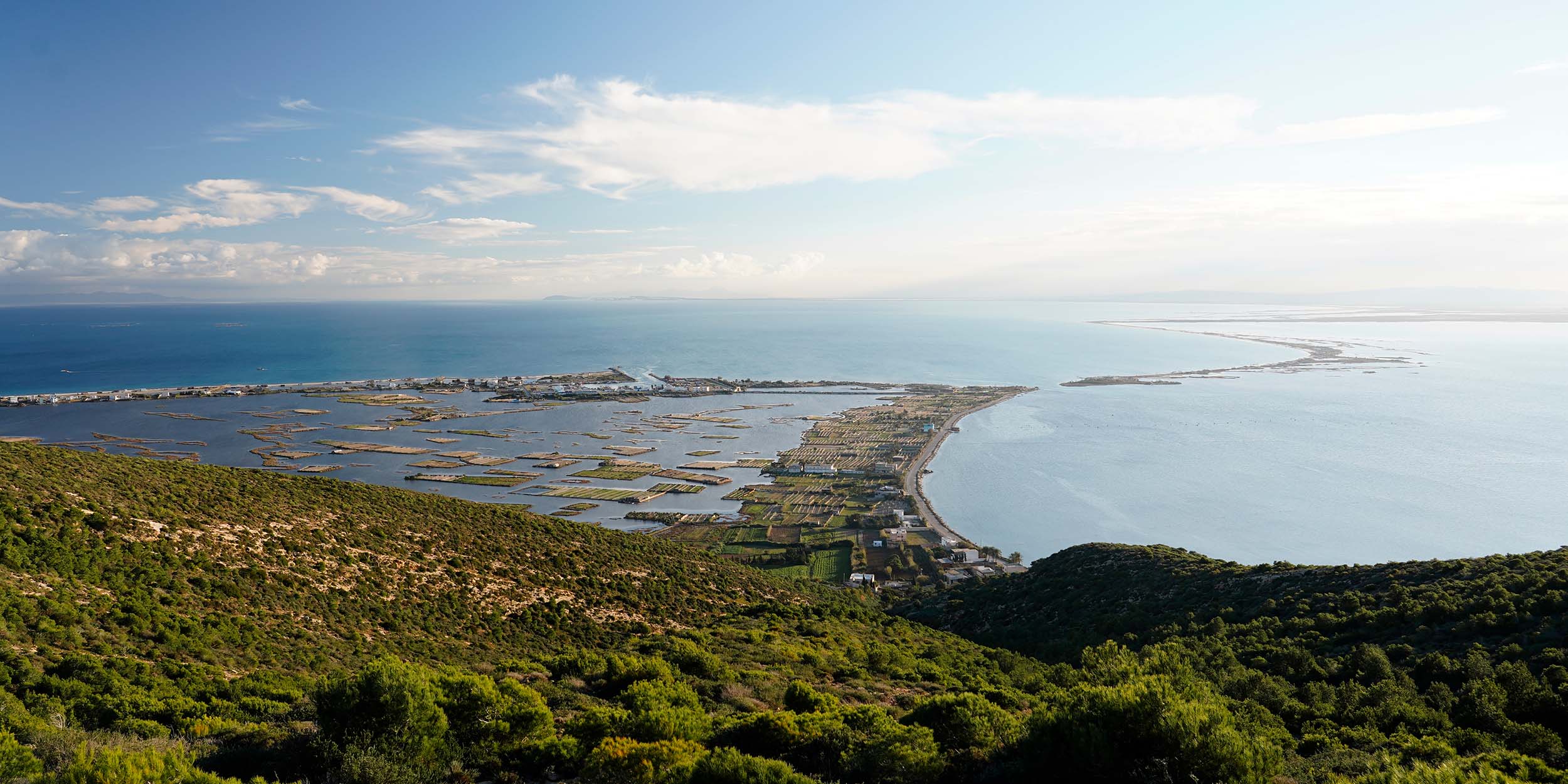 TUNISIA Bird’s-eye view of the Ramli agricultural system in the lagoons of Ghar El Melh ©FAO/Abdelhakim Aissaoui 	