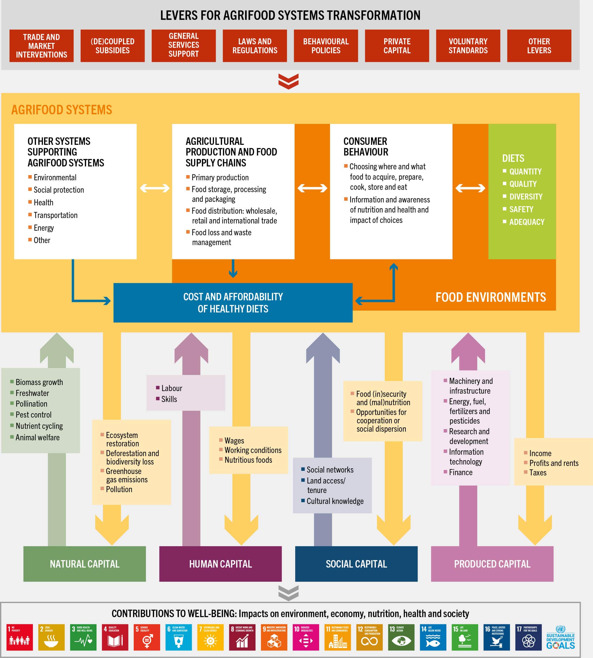 An infographic lists how assessments of capital flows can inform levers for agrifood systems transformation.