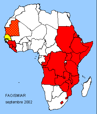 Afrique