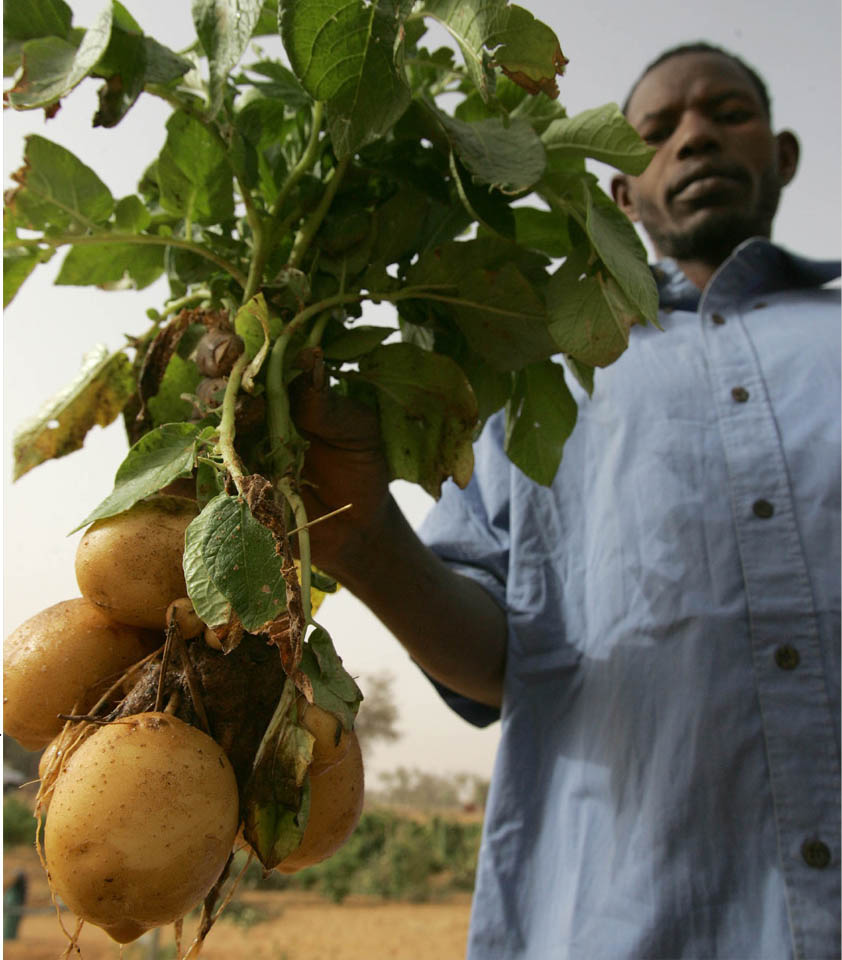 ©FAO/Giulio Napolitano